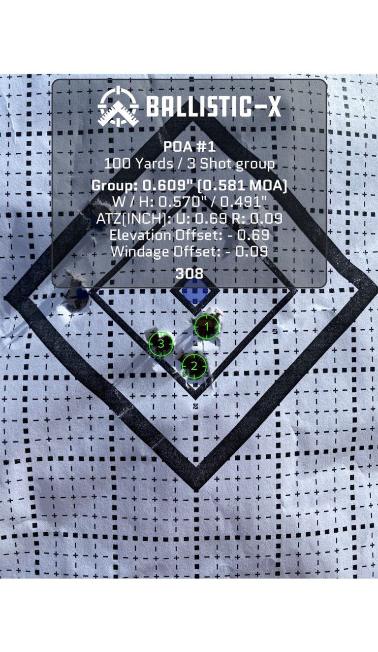 Overwatch H 5-shot group at 100 yards